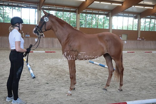 Siegerehrung 44