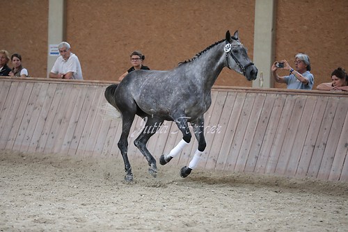Freispringen 276