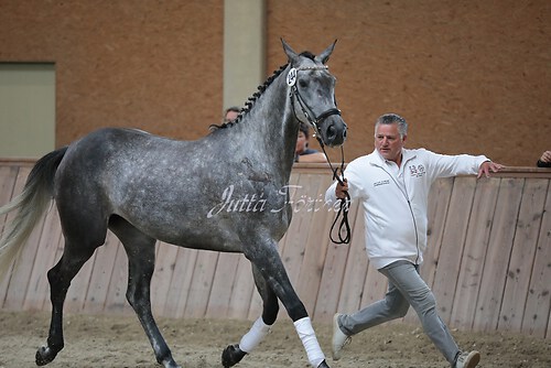 Freispringen 288