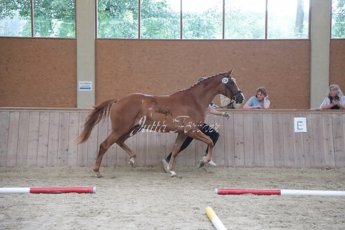 Siegerehrung 57