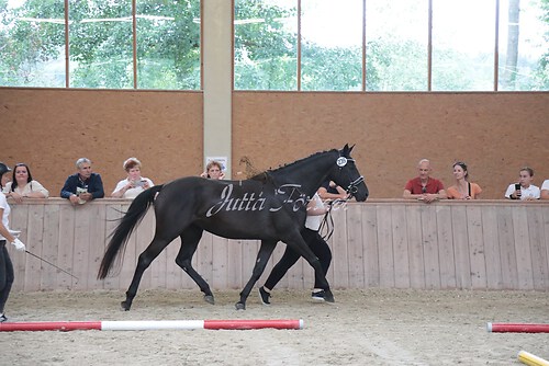 Siegerehrung 282
