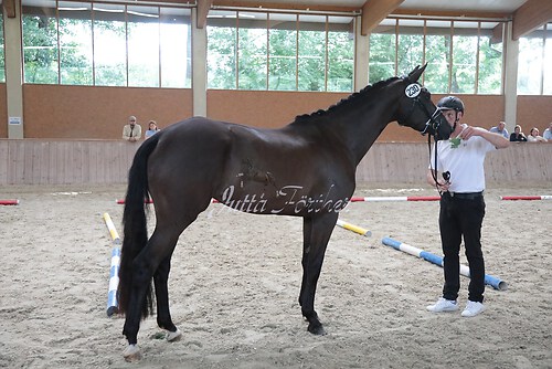 Siegerehrung 61