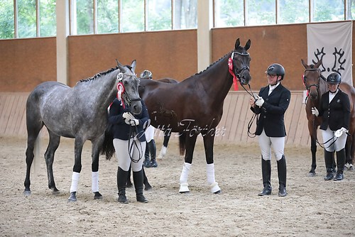 Siegerehrung Stutenleistung0167
