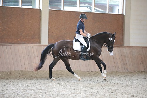 Stutenleistung0032