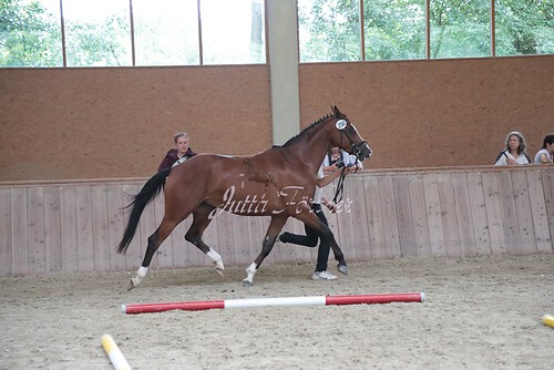 Siegerehrung 211