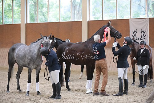 Siegerehrung Stutenleistung0151