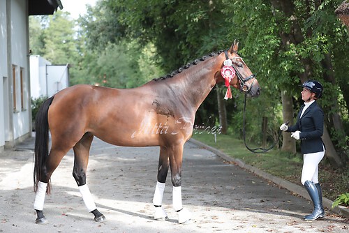 Siegerehrung Stutenleistung0103