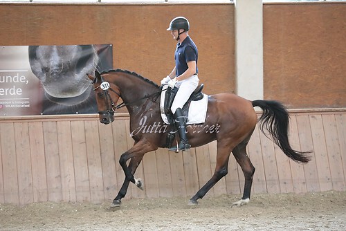 Stutenleistung0041