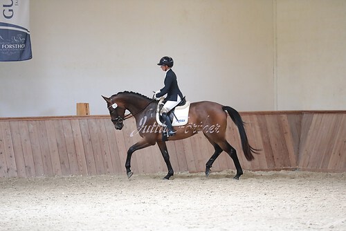 Stutenleistung0174