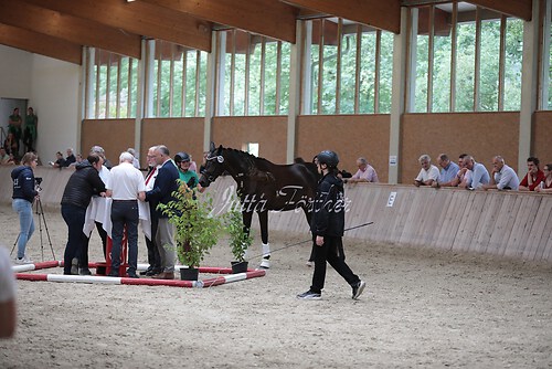 Freispringen 414