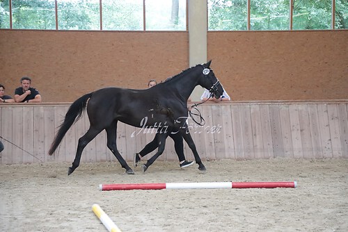 Siegerehrung 278