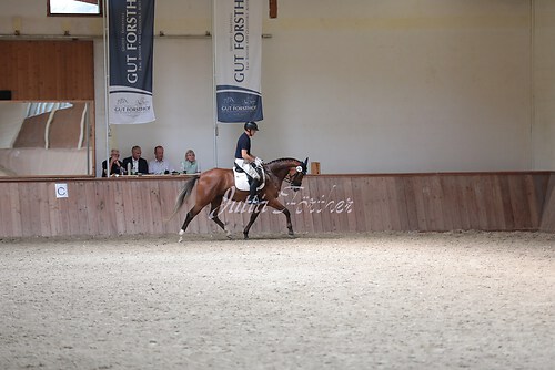 Stutenleistung0195