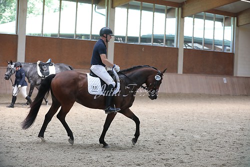 Stutenleistung0218