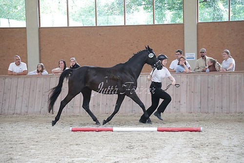 Siegerehrung 199