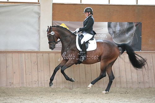 Stutenleistung0092