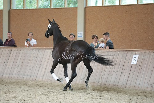 Freispringen 108