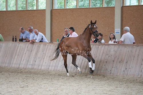 Freispringen 328