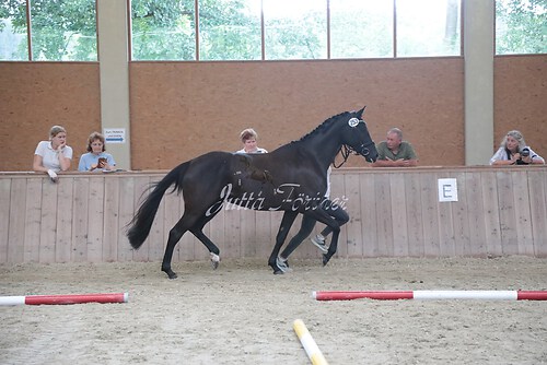 Siegerehrung 222