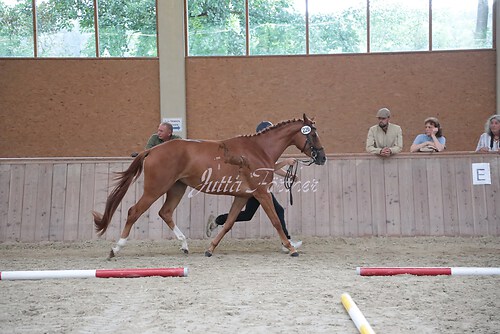 Siegerehrung 71