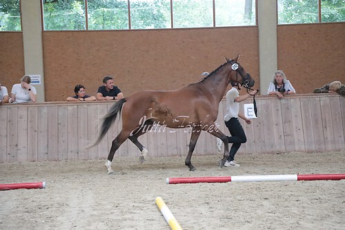 Siegerehrung 260