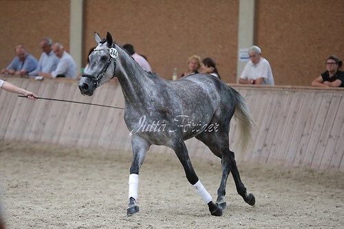 Freispringen 268