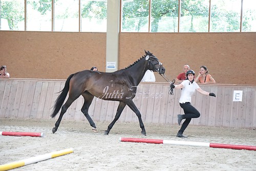 Siegerehrung 328