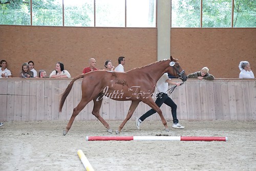 Siegerehrung 303