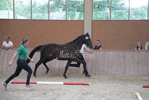 Siegerehrung 55