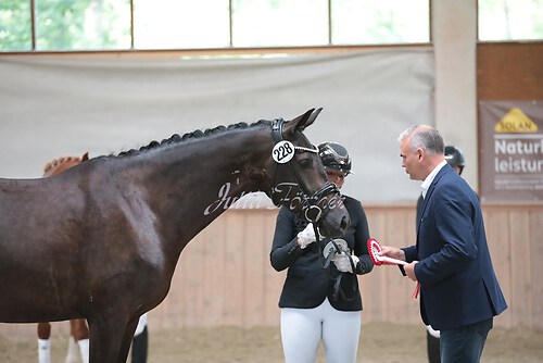 Siegerehrung Stutenleistung0041