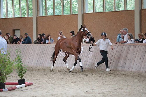 Freispringen 188