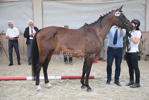 Siegerehrung 157