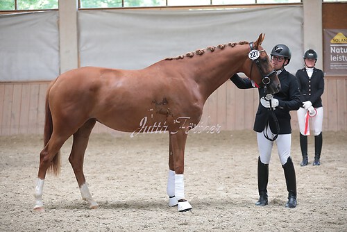 Siegerehrung Stutenleistung0032