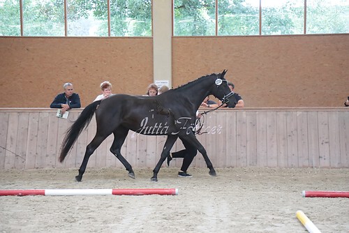 Siegerehrung 279
