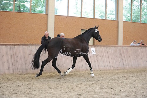 Herzogin Kate05