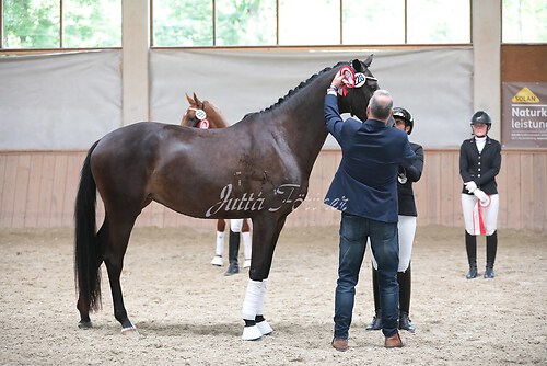 Siegerehrung Stutenleistung0042