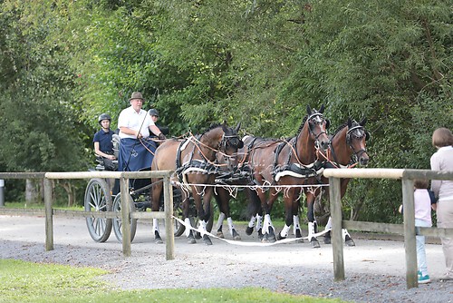 Siegerehrung 338