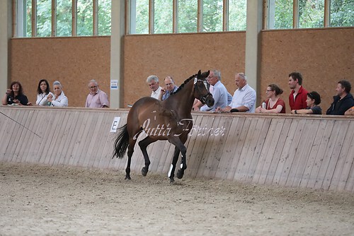 Freispringen 408