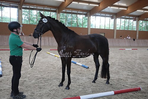 Siegerehrung 271