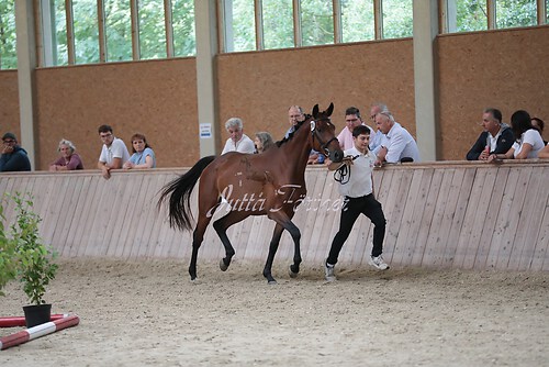 Freispringen 386
