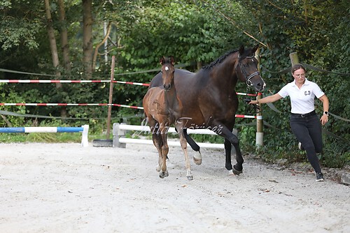 Lebensglück061