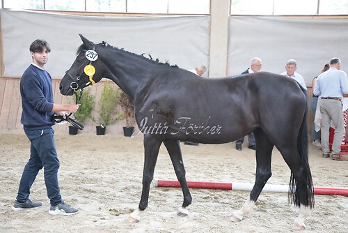 Siegerehrung 297