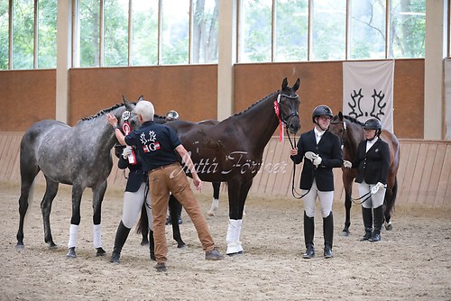 Siegerehrung Stutenleistung0158