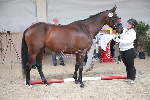 Siegerehrung 204