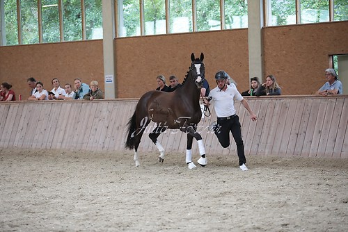 Freispringen 394