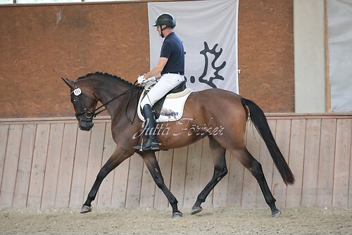 Stutenleistung0144