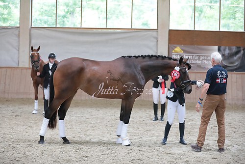 Siegerehrung Stutenleistung0063