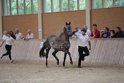 Freispringen 458