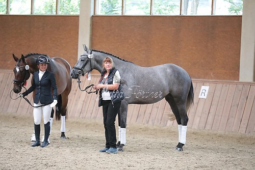 Siegerehrung Stutenleistung0092