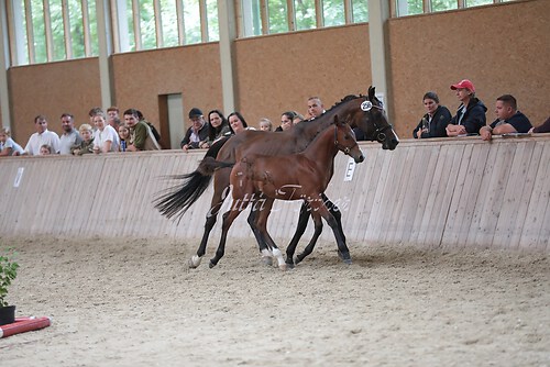 Freispringen 48