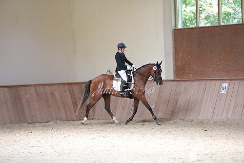 Stutenleistung0206